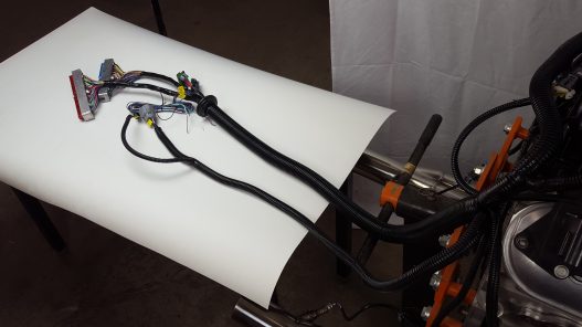 Stand Alone LS Harness - Gen 3 - Drive by Cable - 4L60E - Truck Injectors - WARR Performance - Image 6