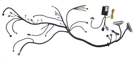 Stand Alone LS Harness - Gen 3 - Drive by Cable - 4L60E - Truck Injectors - WARR Performance