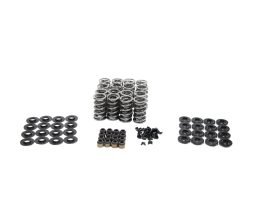 BTR Platinum LS Dual Spring Kit - .660" Lift - SK001/S/0560/BB